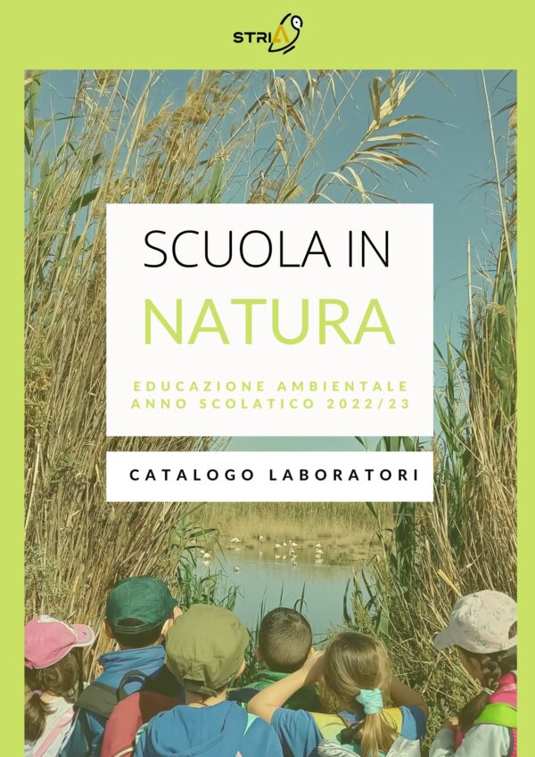 Catalogo laboratori scuola